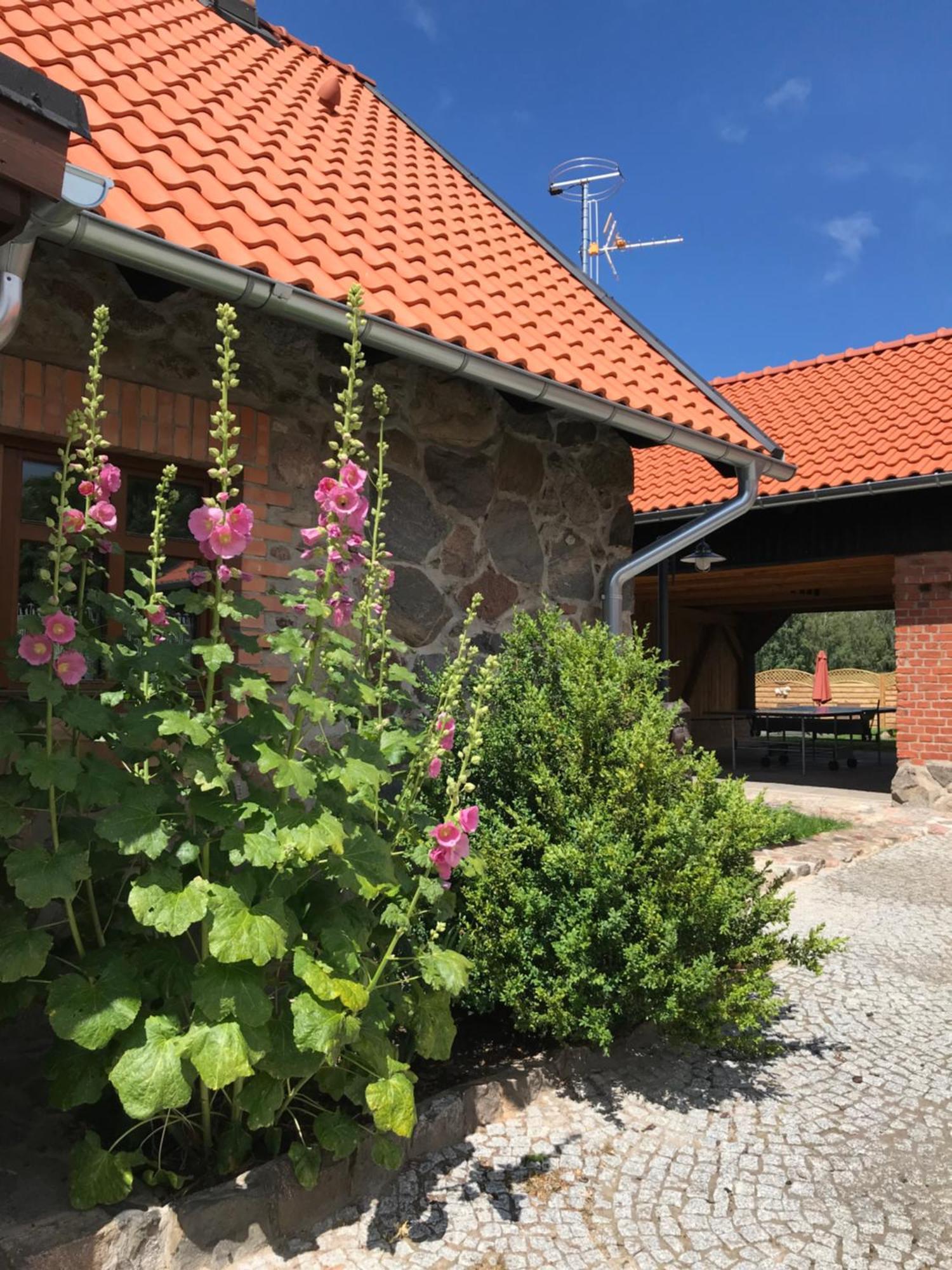 Siedlisko na Górce Zalec Exterior foto