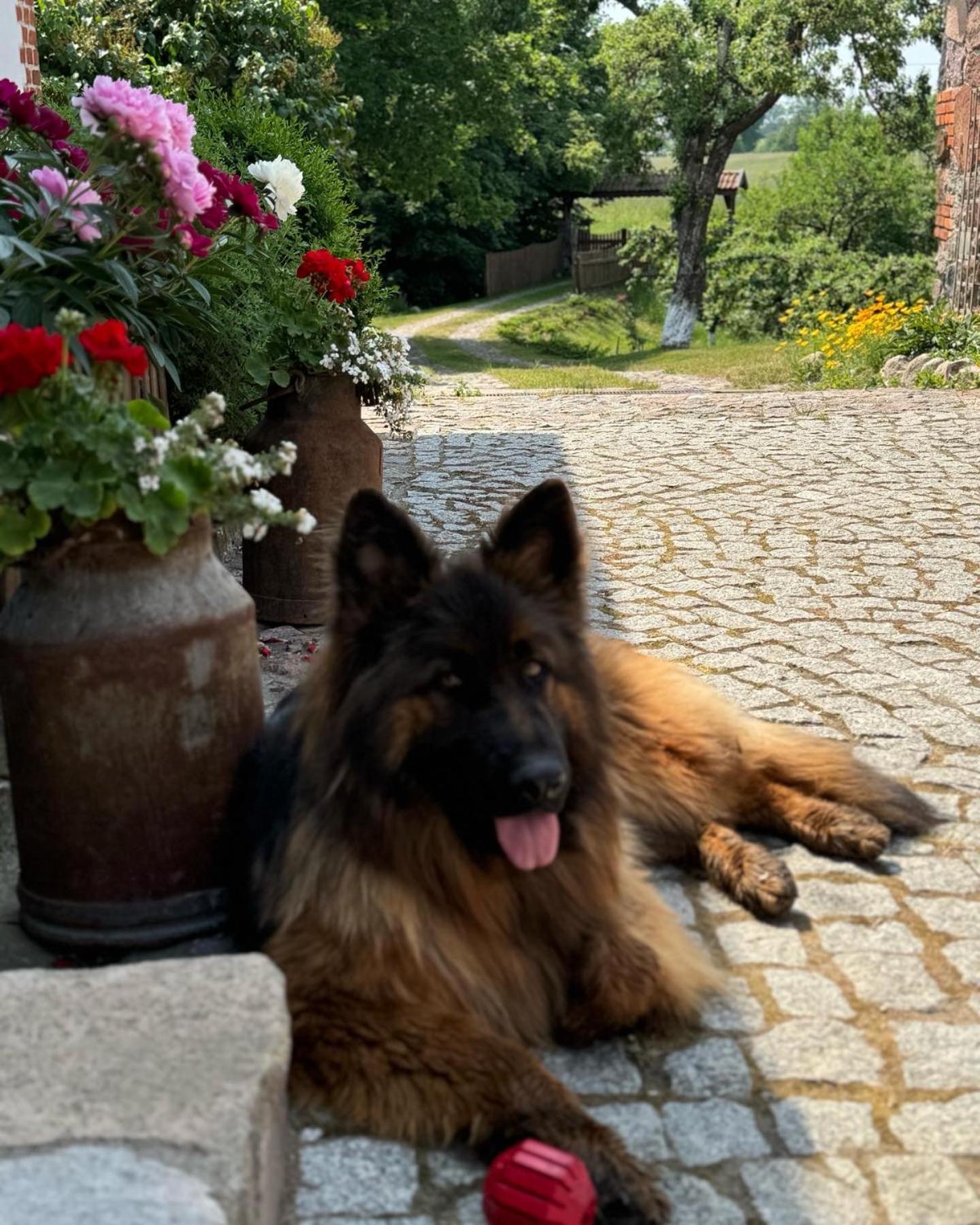 Siedlisko na Górce Zalec Exterior foto